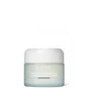 Tri-Active™ Regenerating Resurface and Brighten Mask