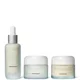 Tri-Active Regen Collection (worth £212.00)
