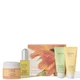 Natural Radiance Skin Collection (Worth £136)